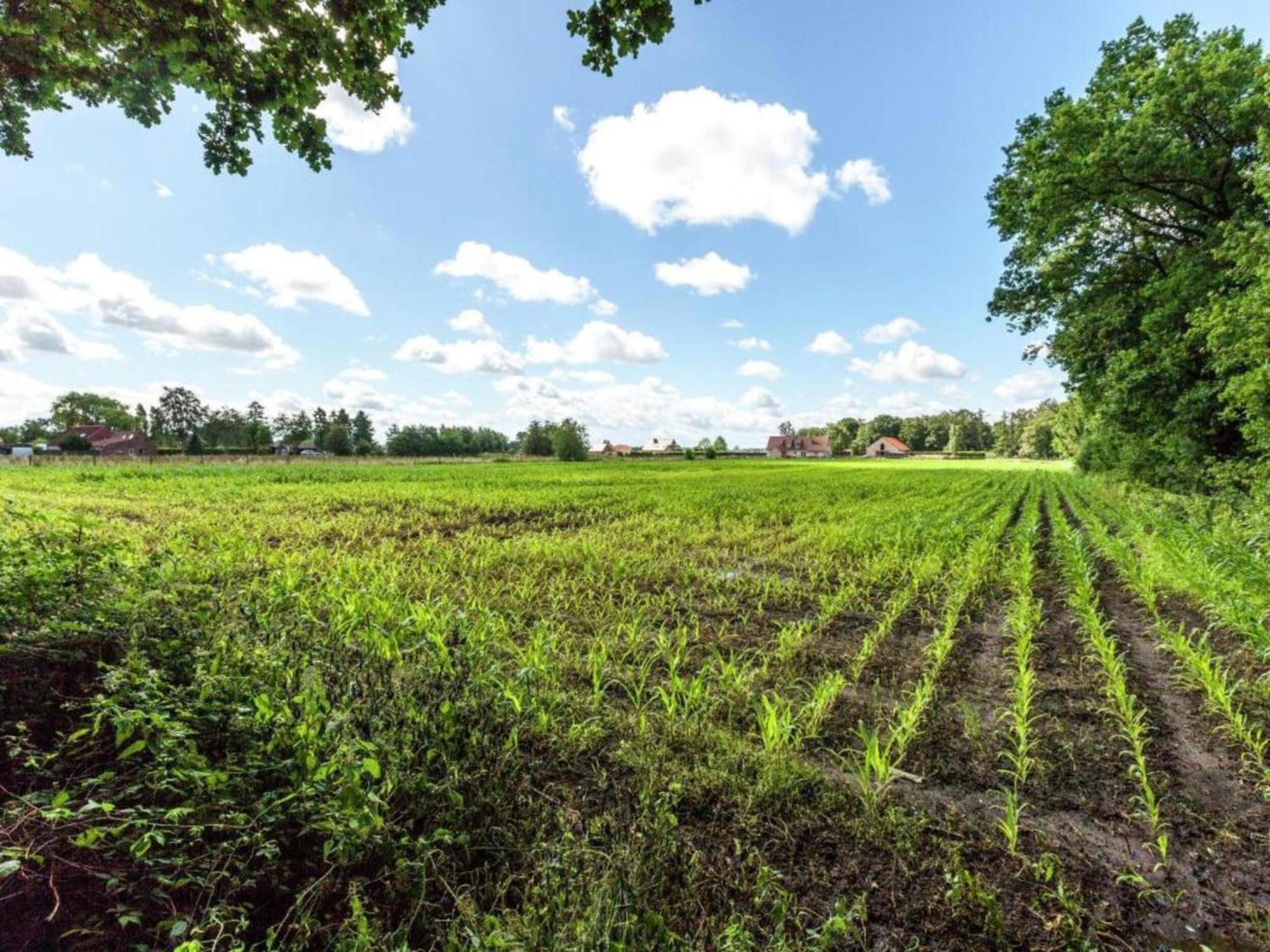 Beautiful In Cul Des Sarts With Garden Vakantiehuis